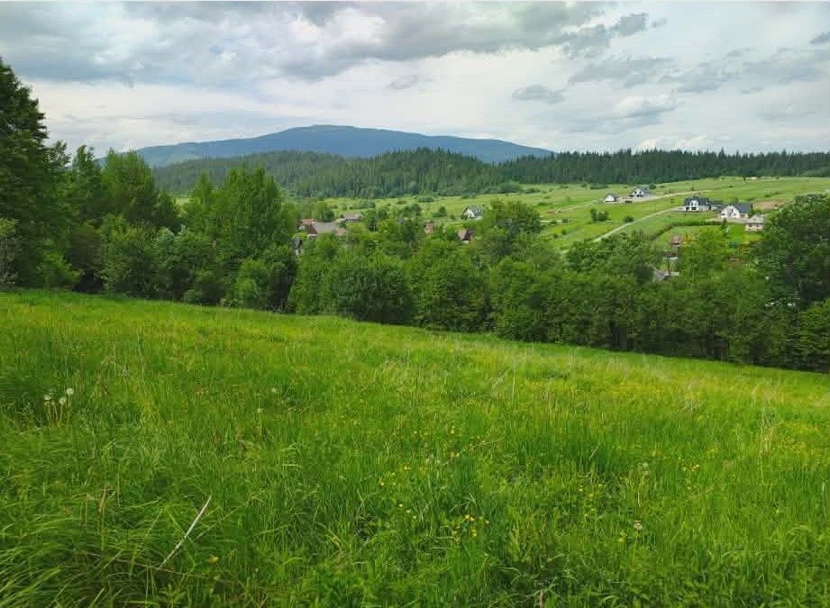 Działka rolno-budowlana Lipnica Wielka. Zdjęcie 1