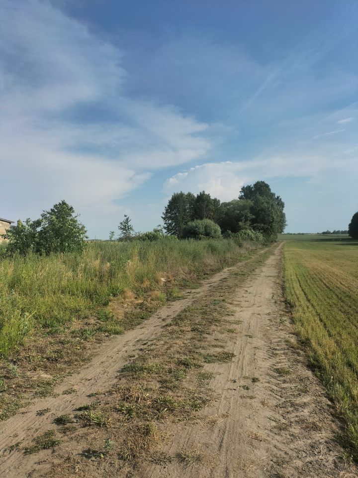 Działka budowlana Jeżów, ul. Rawska. Zdjęcie 2