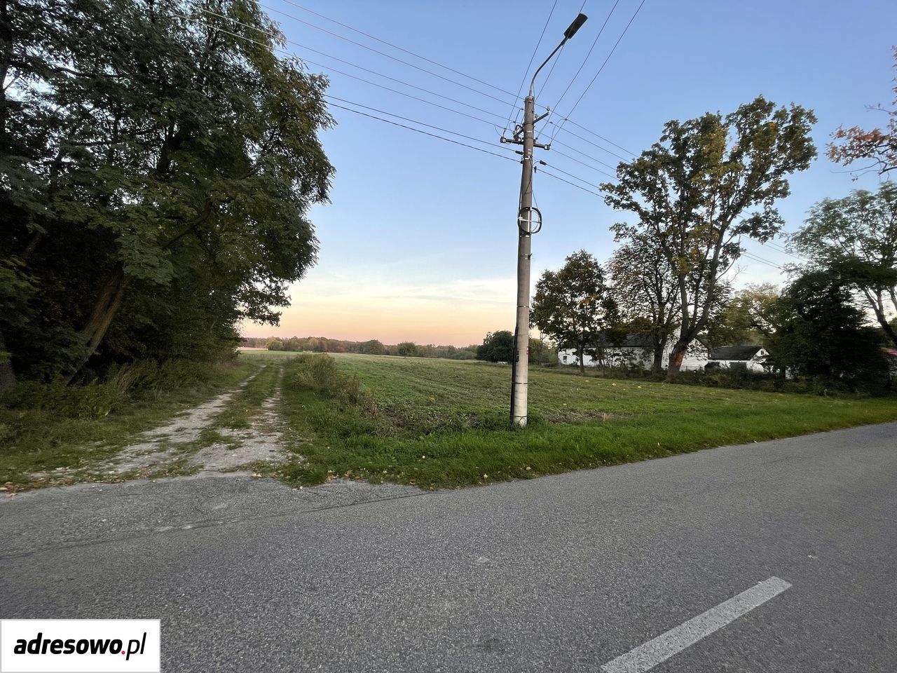 Działka budowlana Zadębie. Zdjęcie 7