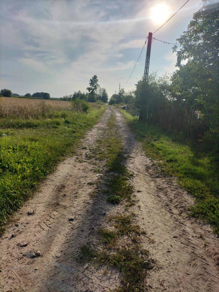 Działka budowlana Ciepielin. Zdjęcie 4