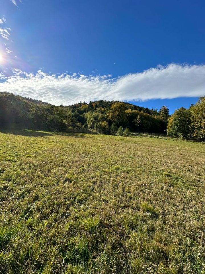 Działka rolno-budowlana Szczawina. Zdjęcie 10