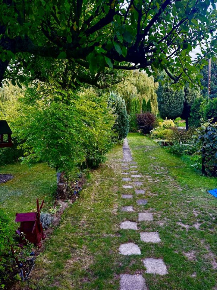 Działka rod Gniezno, ul. Górna