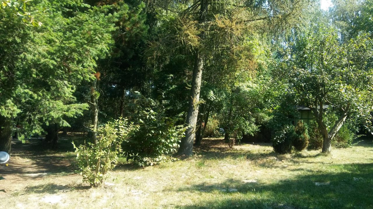 Działka budowlana Stary Uścimów. Zdjęcie 6