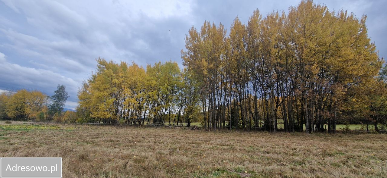 Działka budowlana Chocieszów. Zdjęcie 13