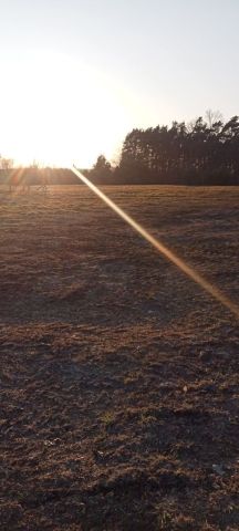 Działka rolno-budowlana Trzebiechów. Zdjęcie 1