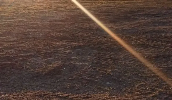 Działka rolno-budowlana Trzebiechów