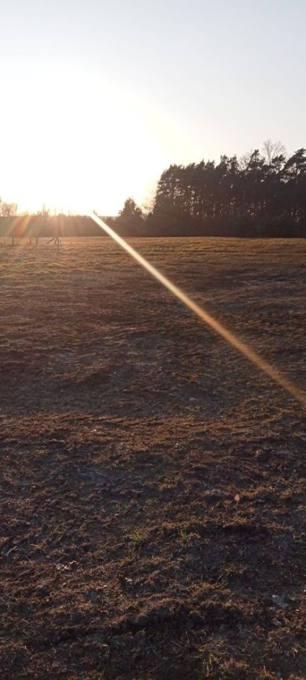 Działka rolno-budowlana Trzebiechów. Zdjęcie 1