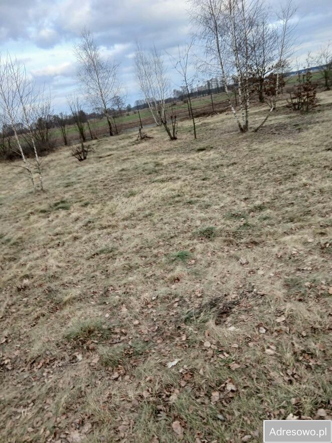 Działka budowlana Bielino. Zdjęcie 4