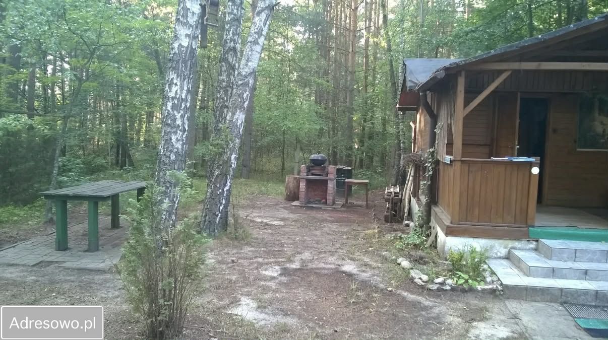 Działka rekreacyjna Emilia. Zdjęcie 2