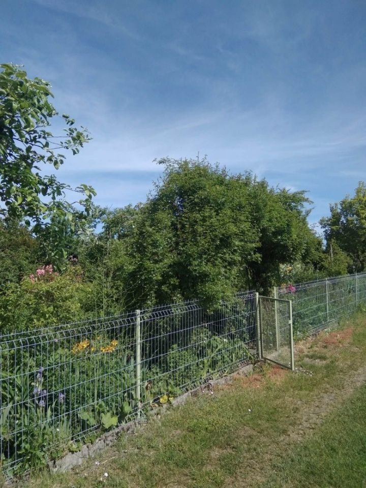 Działka rod Niekłonice. Zdjęcie 4