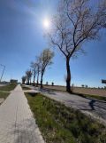Działka rolno-budowlana Kurów, ul. Wieluńska. Zdjęcie 3