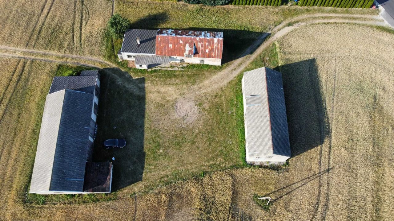 Działka siedliskowa Cielęta. Zdjęcie 3
