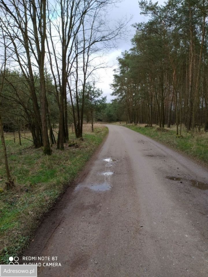 Działka siedliskowa Poręba. Zdjęcie 2