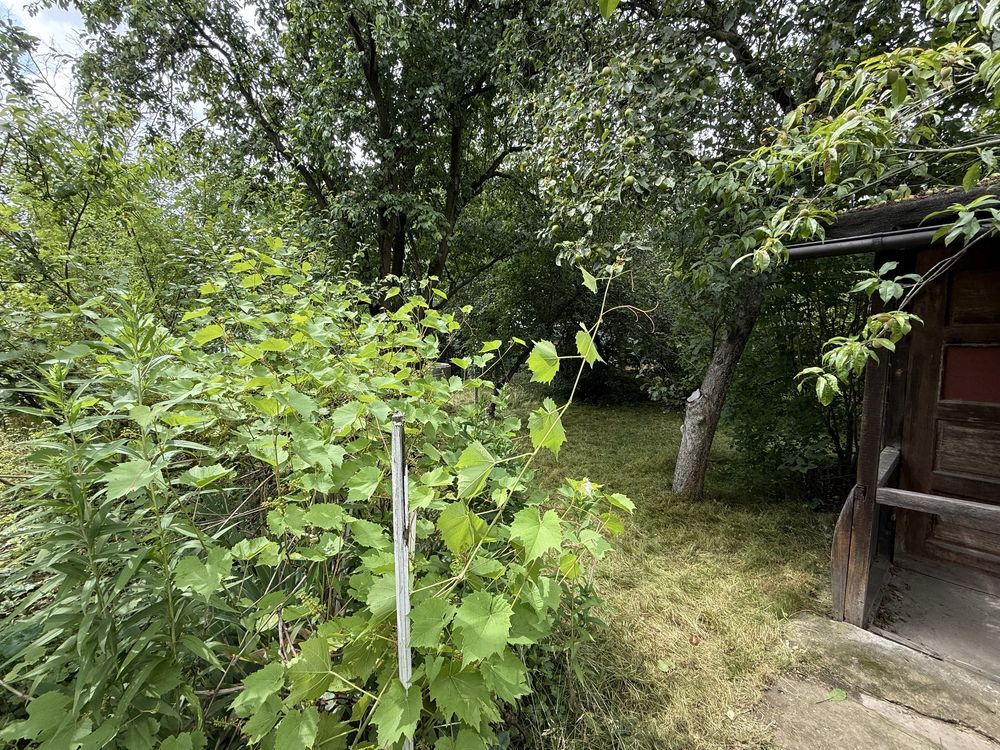 Działka rod Świdnica, ul. Podmiejska. Zdjęcie 7