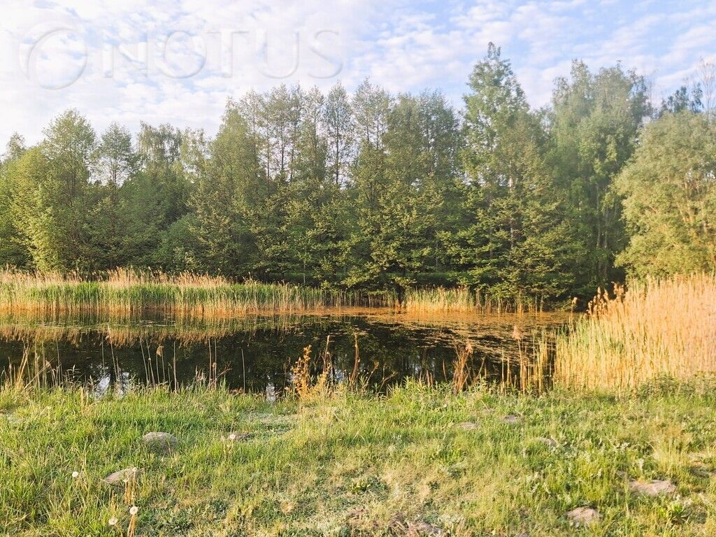 Działka rekreacyjna Zamek Bierzgłowski. Zdjęcie 2