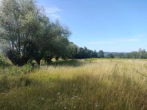 Działka budowlana Łapanów. Zdjęcie 3