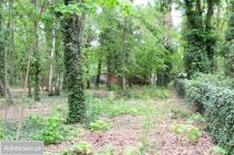 Działka budowlana Podkowa Leśna, ul. Wiewiórek. Zdjęcie 4