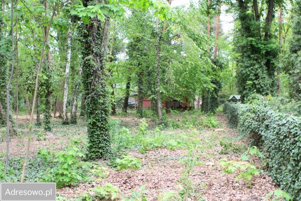 Działka budowlana Podkowa Leśna, ul. Wiewiórek. Zdjęcie 5