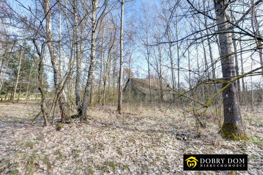 dom wolnostojący, 2 pokoje Wiejki. Zdjęcie 8