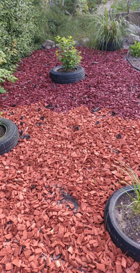 Działka rod Bierkowo, Brak.. Zdjęcie 5