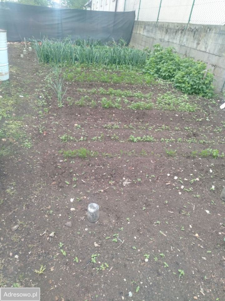 dom wolnostojący, 2 pokoje Jałówka. Zdjęcie 12