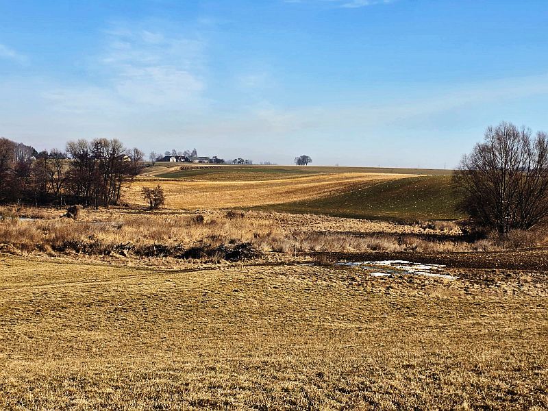 Działka rolna Stara Biała. Zdjęcie 3