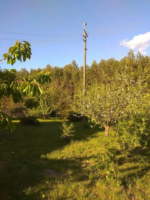 gospodarstwo Warnino. Zdjęcie 7