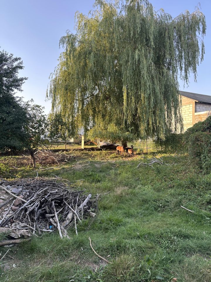 Działka budowlana Mokobody, ul. ks. Brzóski. Zdjęcie 3