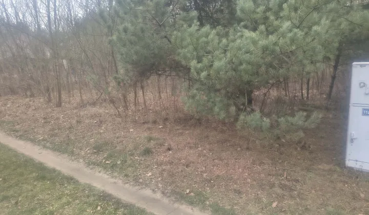 Działka rekreacyjna Łęcino