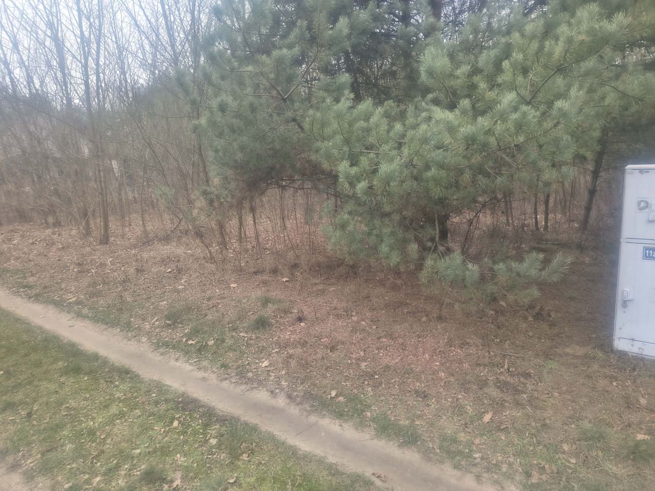 Działka rekreacyjna Łęcino