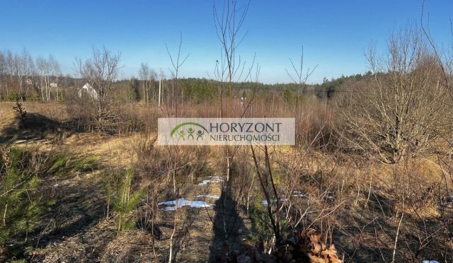 Działka Szarłata. Zdjęcie 3