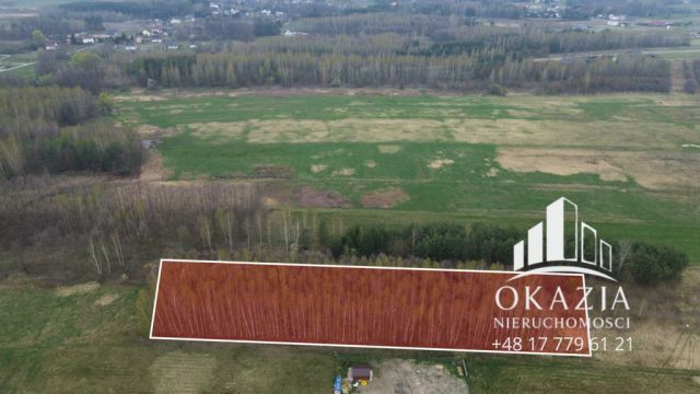 Działka Kolbuszowa Dolna. Zdjęcie 4