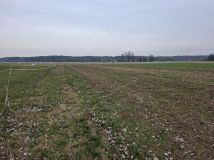 Działka budowlana Włoszczowa, ul. Wiejska. Zdjęcie 4