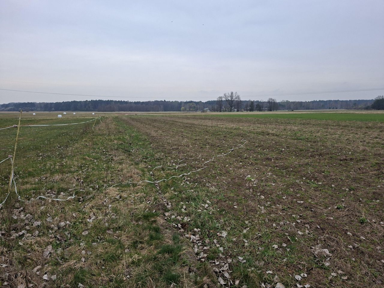 Działka budowlana Włoszczowa, ul. Wiejska. Zdjęcie 5