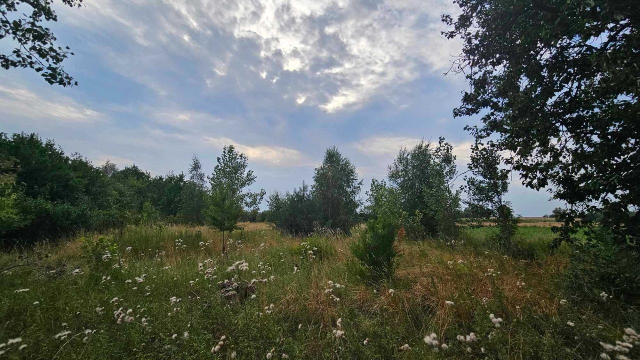 dom wolnostojący Dalnia. Zdjęcie 6