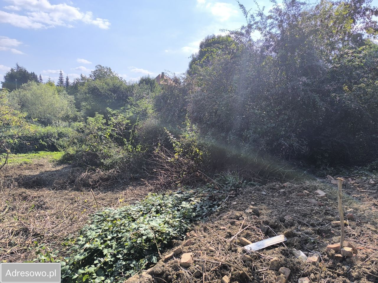 Działka budowlana Szczecin Skolwin, ul. Horyzontalna. Zdjęcie 4