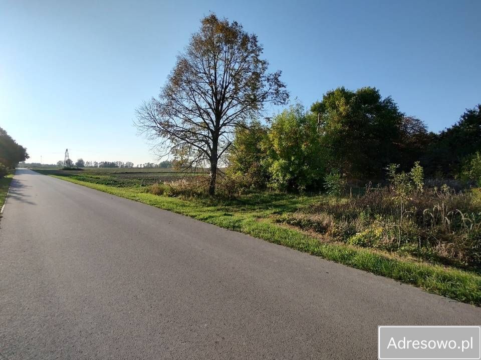 Działka siedliskowa Miętkie-Kolonia. Zdjęcie 6