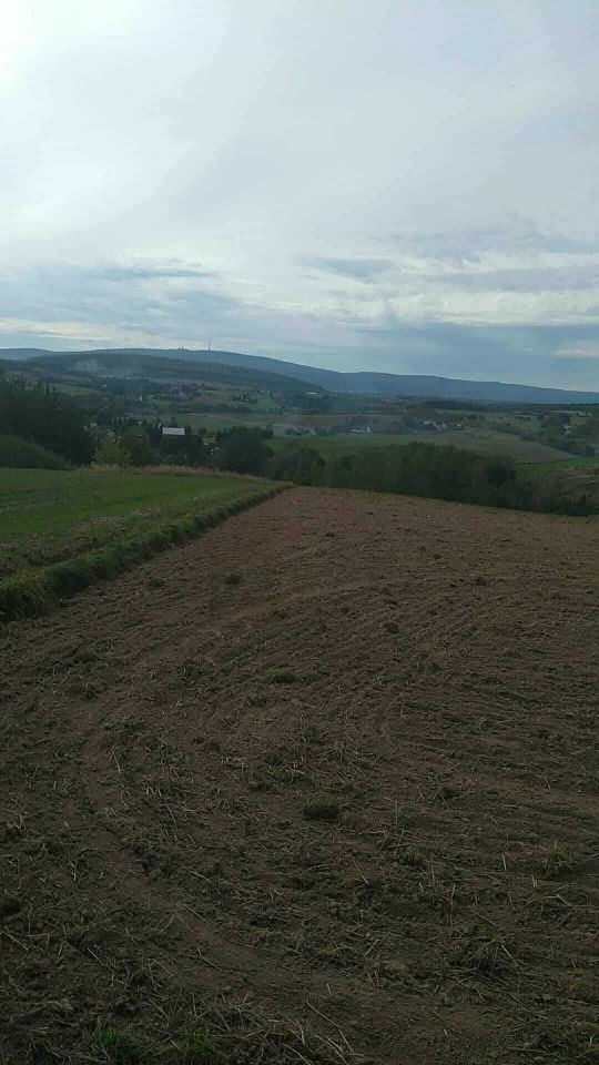 Działka rolno-budowlana Skały. Zdjęcie 6