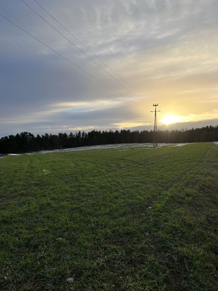 Działka rolno-budowlana Rajkowy. Zdjęcie 8