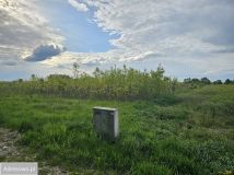 Działka rolno-budowlana Łubienica. Zdjęcie 4