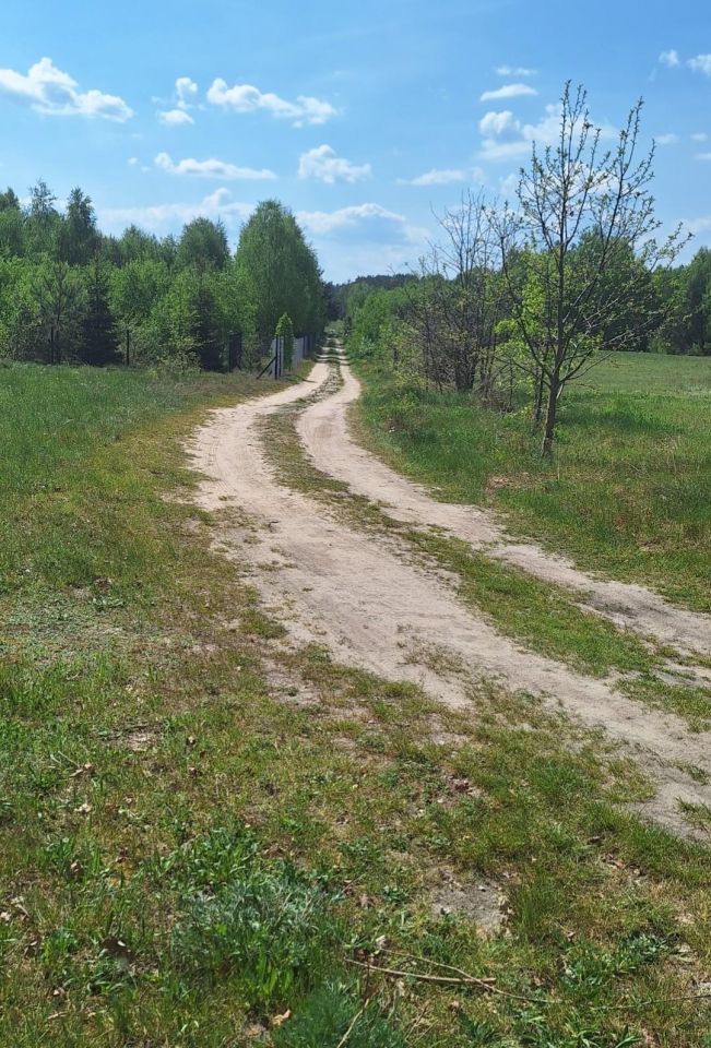 Działka budowlana Żebrówka. Zdjęcie 2