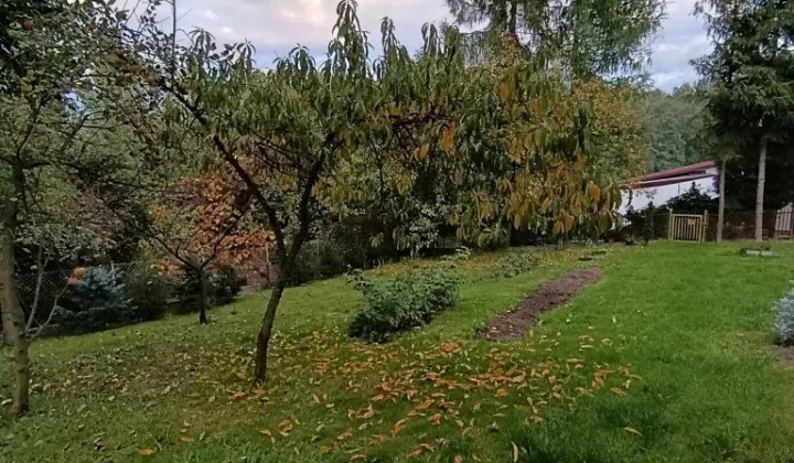 Działka rod Bochnia