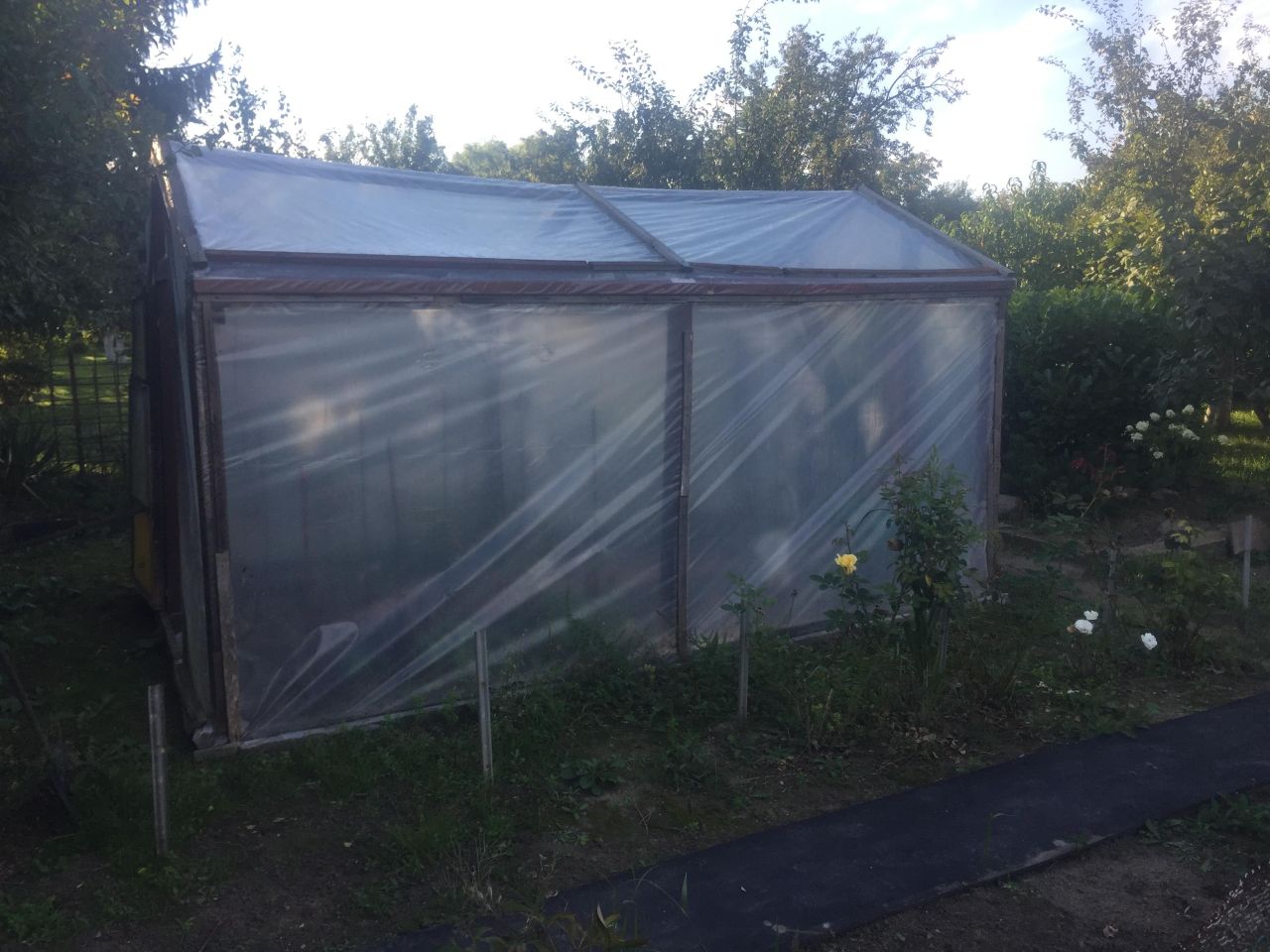 Działka rod Wrocław Osobowice, ul. Krotoszyńska. Zdjęcie 7