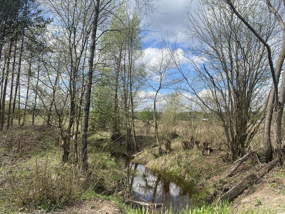 Działka rekreacyjna Szewce. Zdjęcie 7