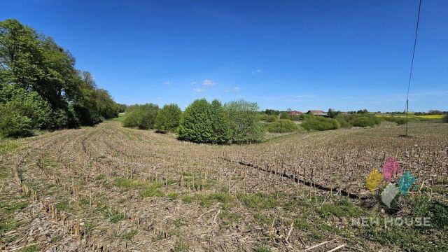 Działka siedliskowa Wilczkowo. Zdjęcie 6