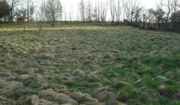 Działka budowlana Pisarzowice