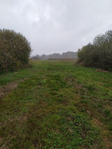 Działka rolna Nowy Świat. Zdjęcie 1