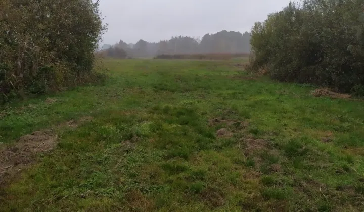 Działka rolna Nowy Świat