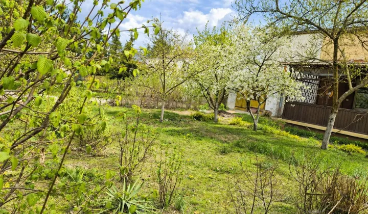 Działka budowlana Józefów, ul. Spacerowa