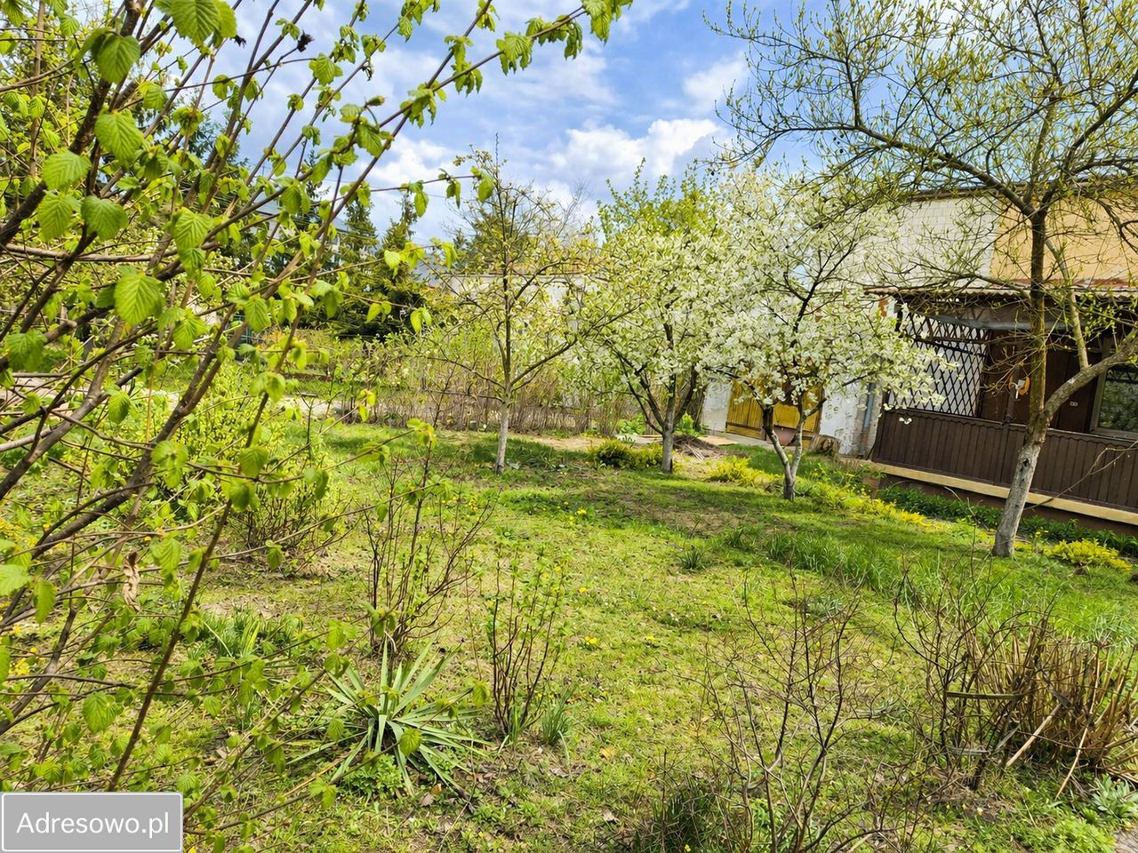 Działka budowlana Józefów, ul. Spacerowa. Zdjęcie 1